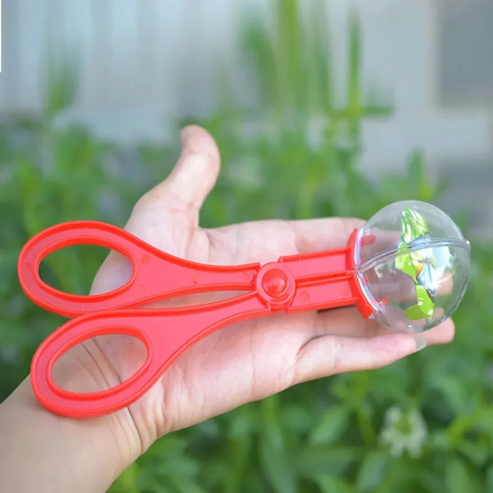 Kleurrijke grote kralen insect - Outdoor Adventure Toys recensie en prijs