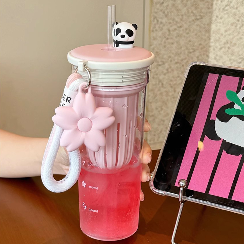 650ml Kawaii Waterfles Met Fil - Water Filter Straw recensie en prijs