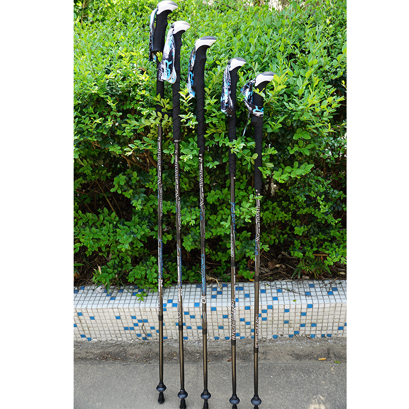 Pioneer Koolstofvezel Trekking - Trekking Pole Carbon recensie en prijs